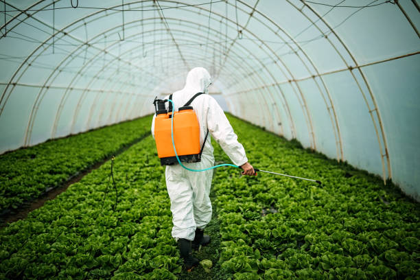 Best Pest Removal Services  in Middletown, VA