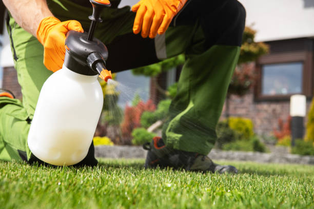 Best Best Pest Control Companies  in Middletown, VA