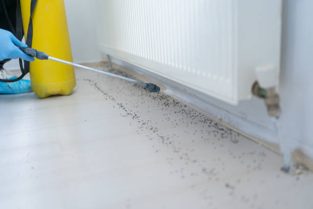 Best Cockroach Control Services  in Middletown, VA