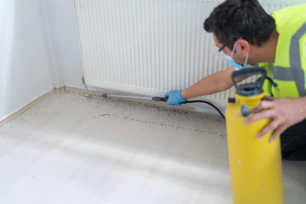 Best Cockroach Control Services  in Middletown, VA